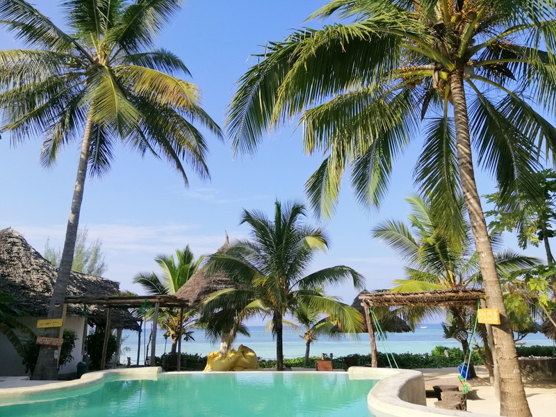 Zanzibaras automobiliu. Kizimkazi-Paje-Matemwe-Chuini-Stone Town. 