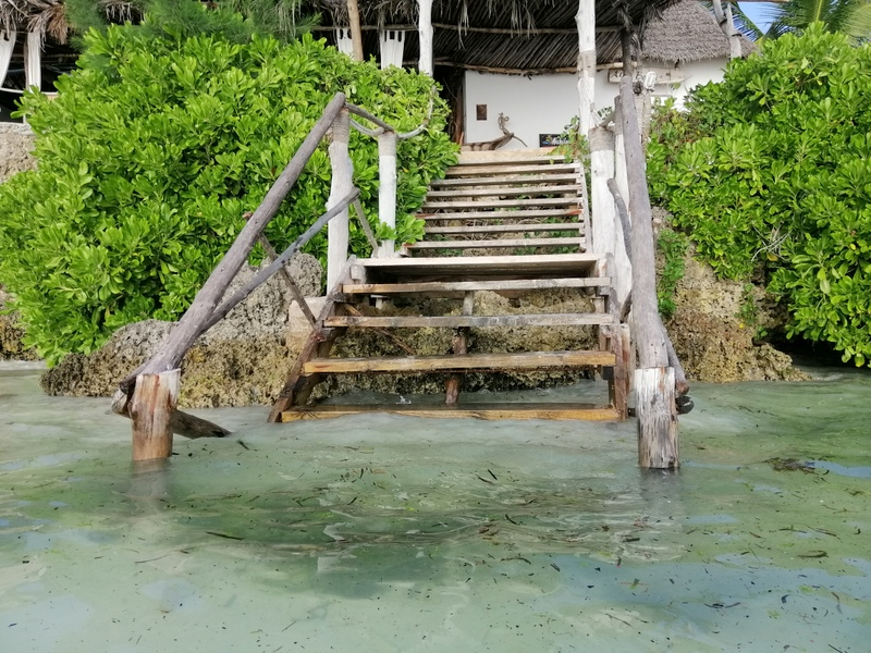 Zanzibar samochodem. Kizimkazi-Paje-Matemwe-Chuini-Stone Town. 