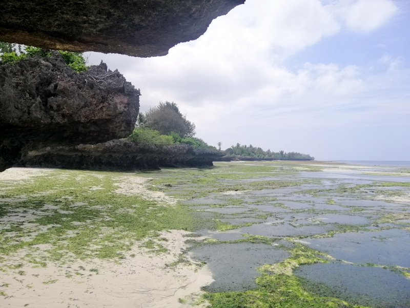 Zanzibaras automobiliu. Kizimkazi-Paje-Matemwe-Chuini-Stone Town. 