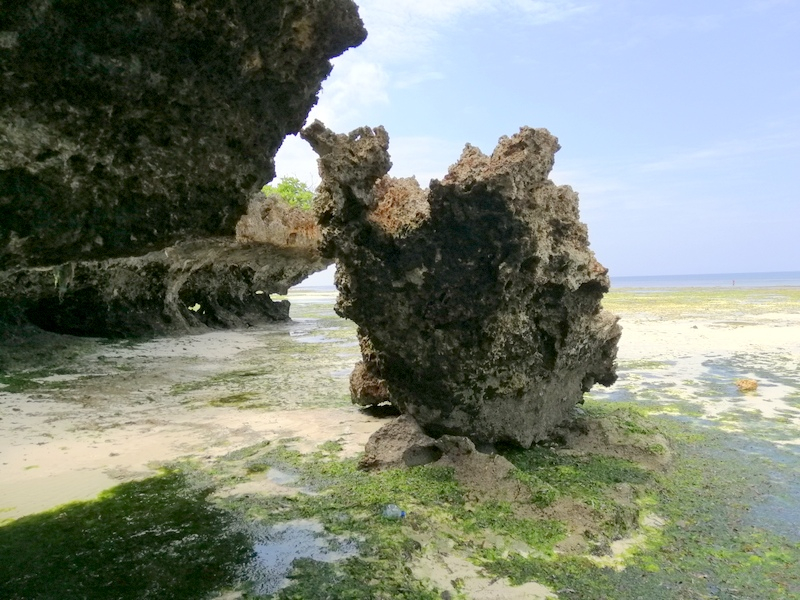 Zanzibaras automobiliu. Kizimkazi-Paje-Matemwe-Chuini-Stone Town. 