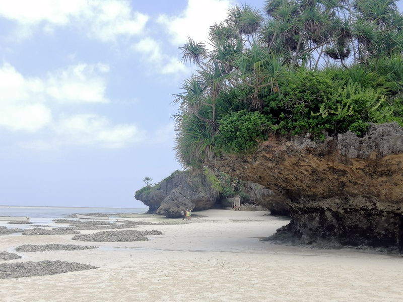 Zanzibaras automobiliu. Kizimkazi-Paje-Matemwe-Chuini-Stone Town. 