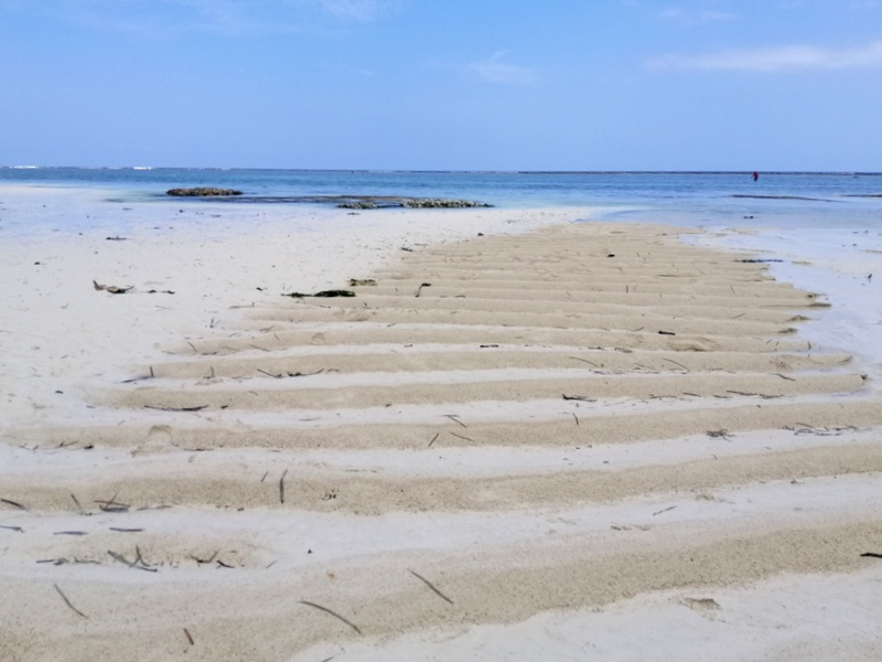 Zanzibar samochodem. Kizimkazi-Paje-Matemwe-Chuini-Stone Town. 