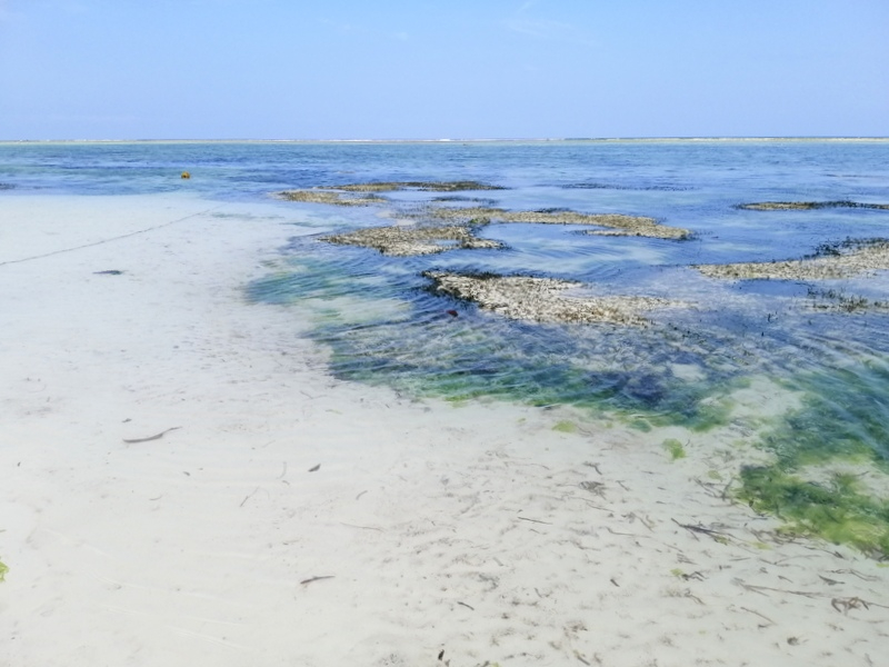 Zanzibaras automobiliu. Kizimkazi-Paje-Matemwe-Chuini-Stone Town. 