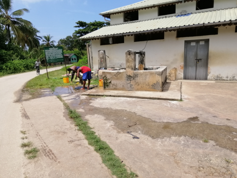 Zanzibaras automobiliu. Kizimkazi-Paje-Matemwe-Chuini-Stone Town. 