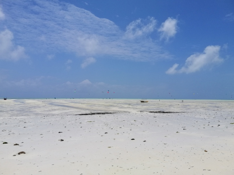 Zanzibaras automobiliu. Kizimkazi-Paje-Matemwe-Chuini-Stone Town. 