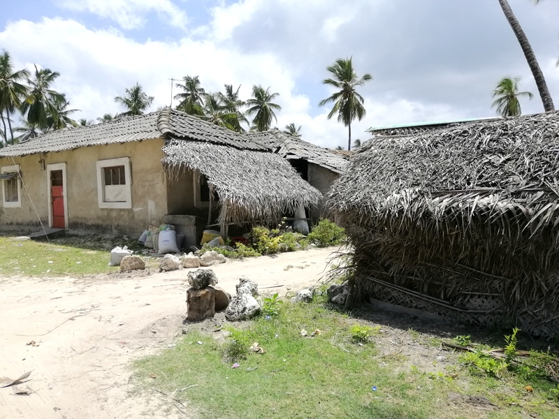 Zanzibar samochodem. Kizimkazi-Paje-Matemwe-Chuini-Stone Town. 