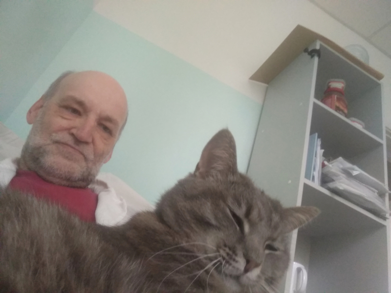 Кошки в нашей жизни. Кошки и все, что с ними связано.