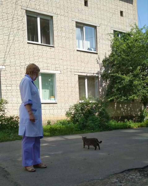 Кошки в нашей жизни. Кошки и все, что с ними связано.