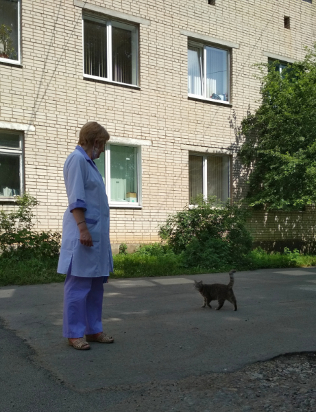 Кошки в нашей жизни. Кошки и все, что с ними связано.