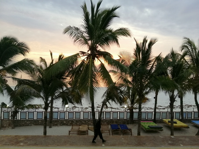 Zanzibā ra ar automaš ī nu. Kizimkazi-Paje-Matemwe-Chuini-Stone Town. 