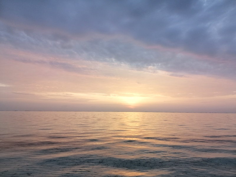 Zanzibaras automobiliu. Kizimkazi-Paje-Matemwe-Chuini-Stone Town. 