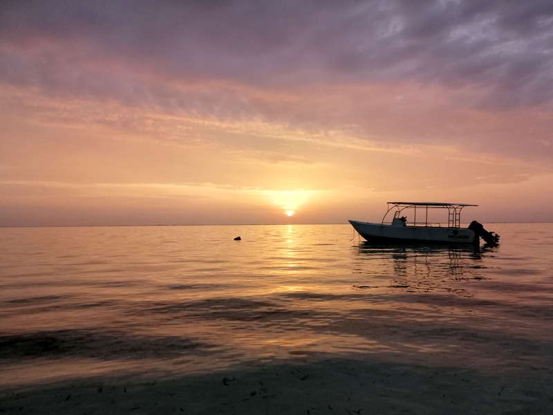 Zanzibā ra ar automaš ī nu. Kizimkazi-Paje-Matemwe-Chuini-Stone Town. 