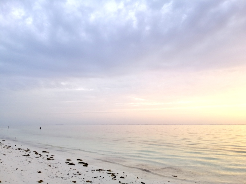 Zanzibaras automobiliu. Kizimkazi-Paje-Matemwe-Chuini-Stone Town. 