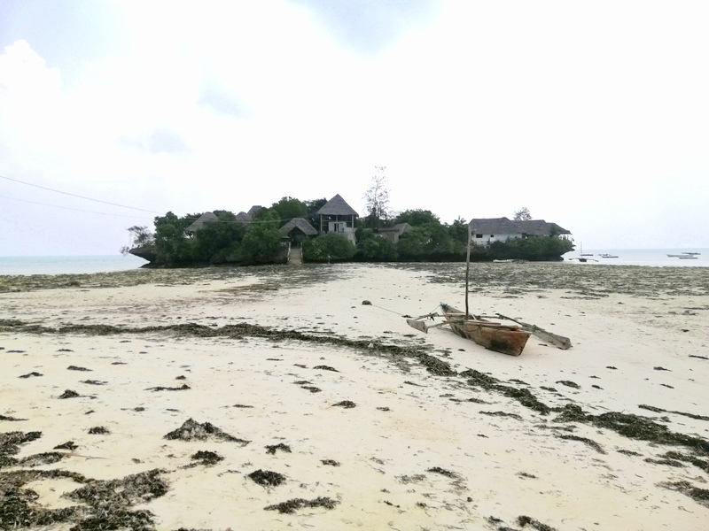 Zanzibā ra ar automaš ī nu. Kizimkazi-Paje-Matemwe-Chuini-Stone Town. 