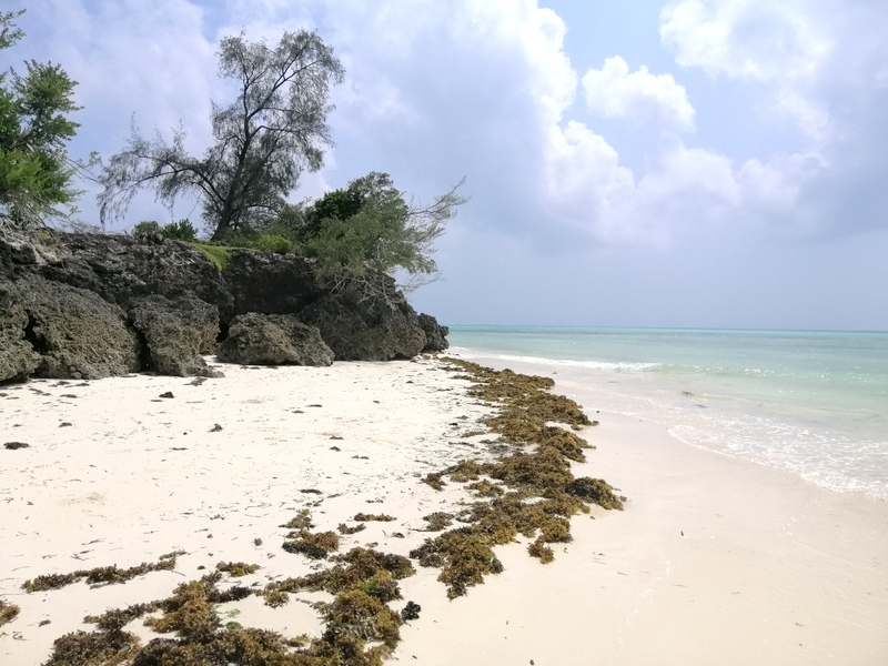 Zanzibaras automobiliu. Kizimkazi-Paje-Matemwe-Chuini-Stone Town. 