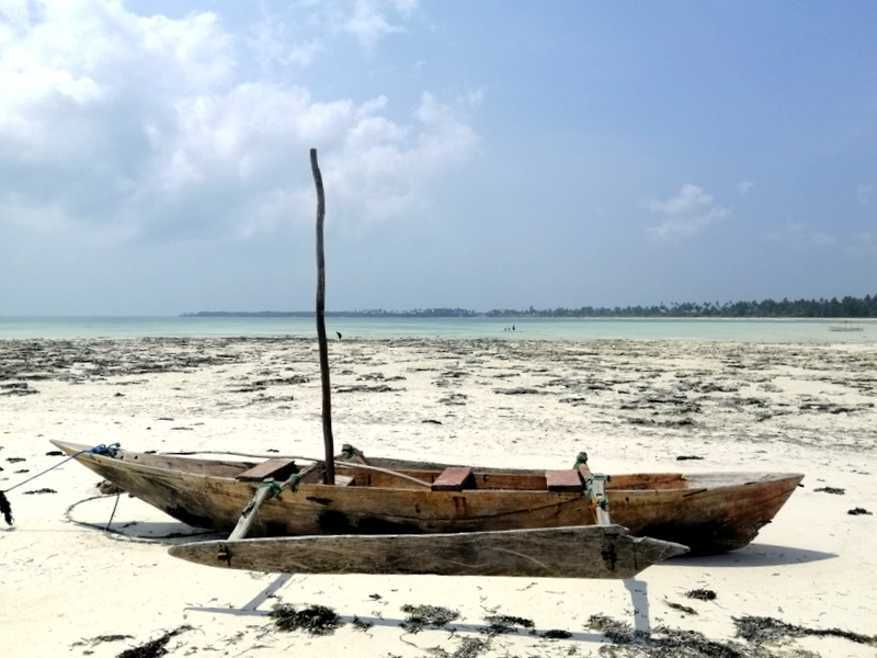 Zanzibā ra ar automaš ī nu. Kizimkazi-Paje-Matemwe-Chuini-Stone Town. 