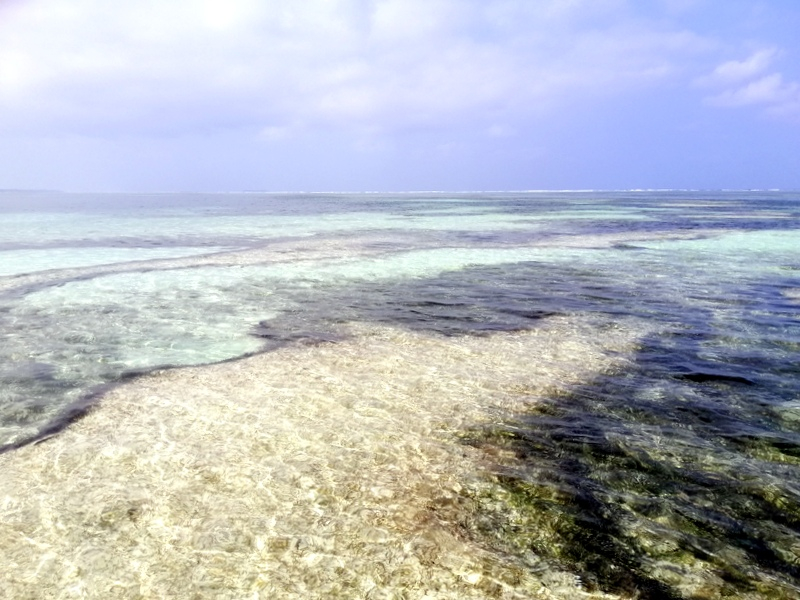 Zanzibaras automobiliu. Kizimkazi-Paje-Matemwe-Chuini-Stone Town. 