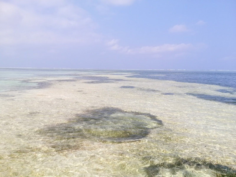 Zanzibaras automobiliu. Kizimkazi-Paje-Matemwe-Chuini-Stone Town. 