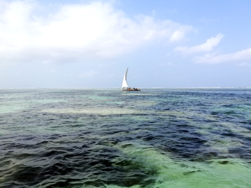 Zanzibā ra ar automaš ī nu. Kizimkazi-Paje-Matemwe-Chuini-Stone Town. 