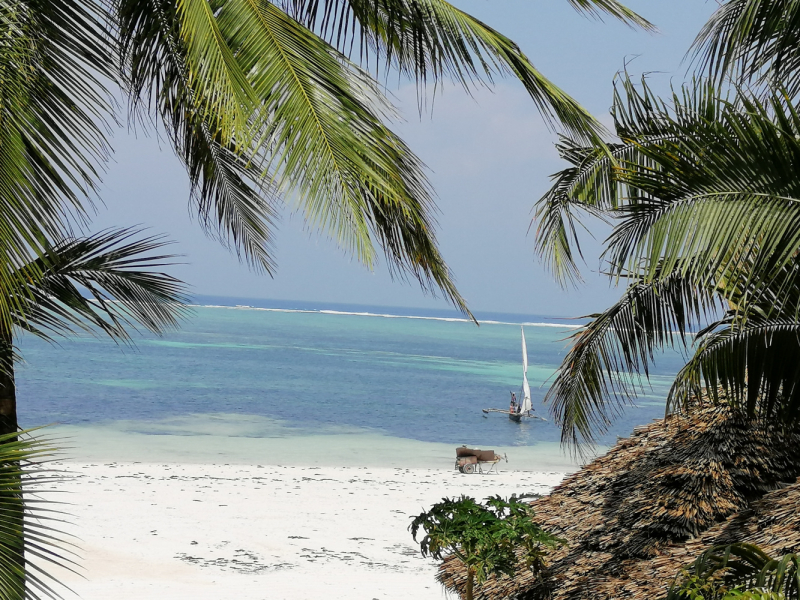 Zanzibaras automobiliu. Kizimkazi-Paje-Matemwe-Chuini-Stone Town. 