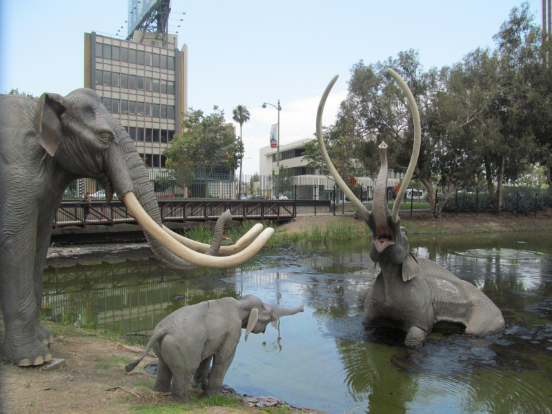 Вело Йеллоустон и Гранд Титон 2017г