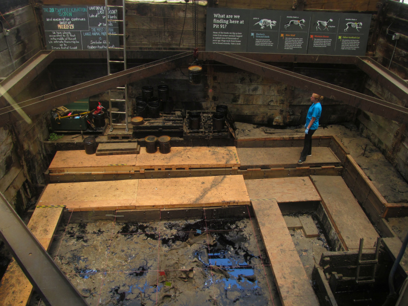 Вело Йеллоустон и Гранд Титон 2017г