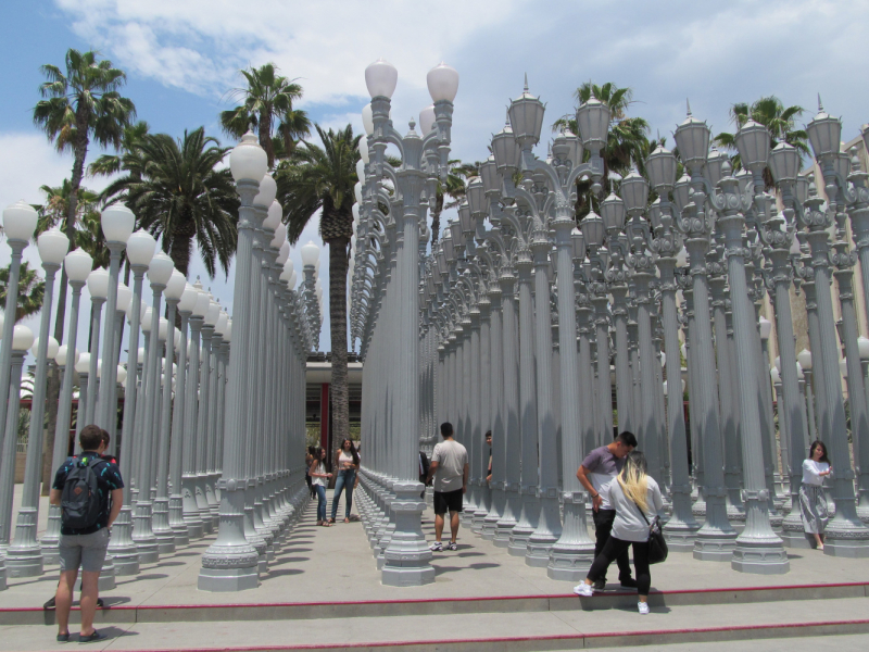 Вело Йеллоустон и Гранд Титон 2017г