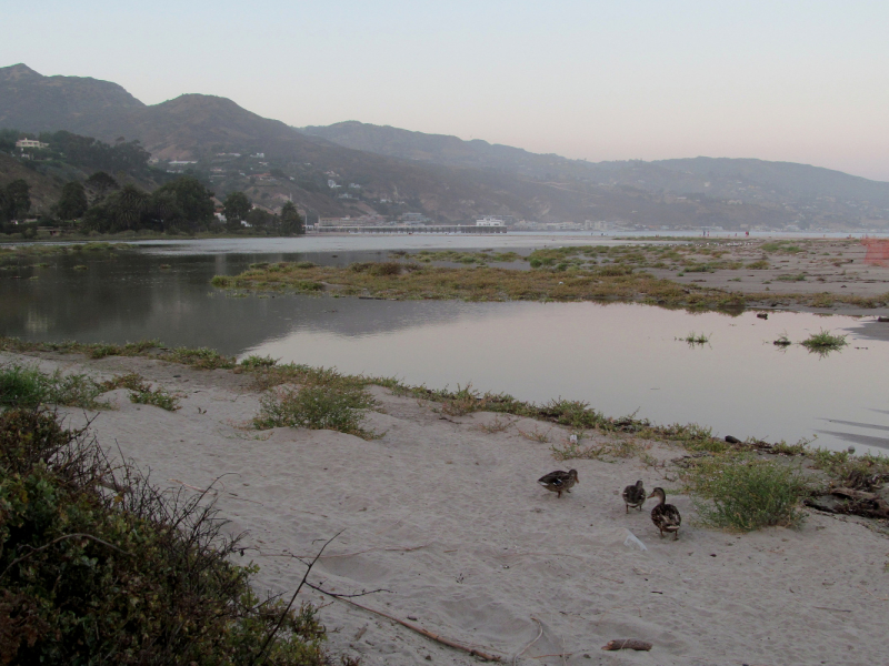 Вело Йеллоустон и Гранд Титон 2017г