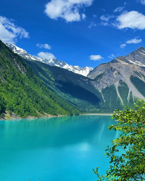 Canadian Rockies в июне 2021. Свобода!