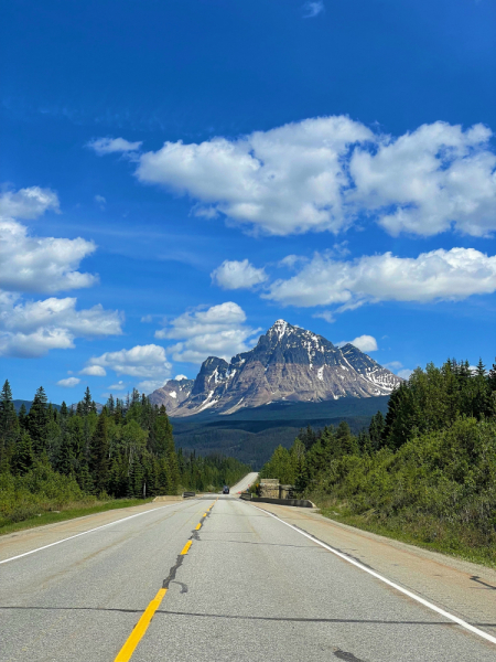 Canadian Rockies в июне 2021. Свобода!