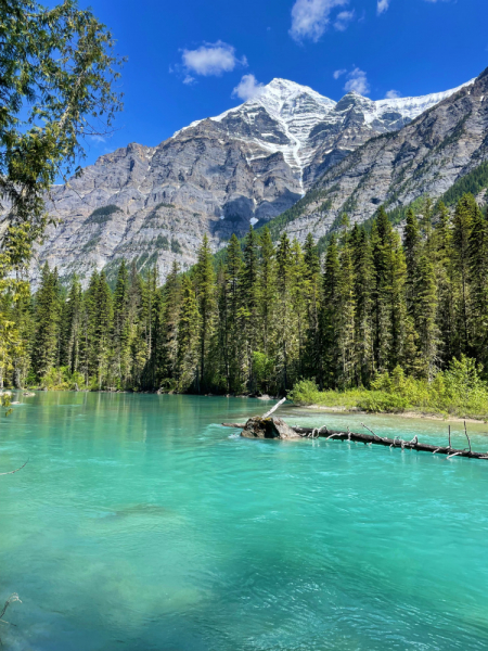 Canadian Rockies в июне 2021. Свобода!