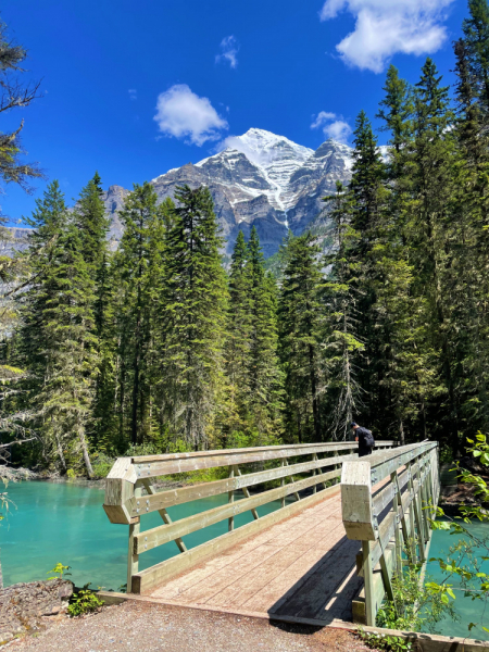 Canadian Rockies в июне 2021. Свобода!