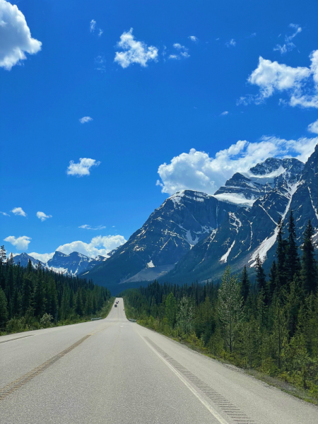 Canadian Rockies в июне 2021. Свобода!