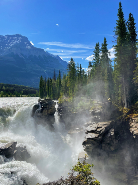 Canadian Rockies в июне 2021. Свобода!