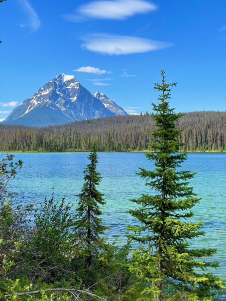 Canadian Rockies в июне 2021. Свобода!