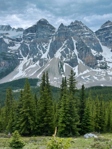 Canadian Rockies в июне 2021. Свобода!