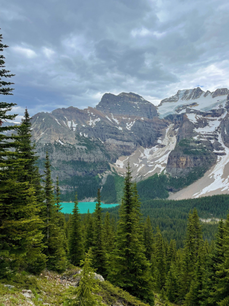 Canadian Rockies в июне 2021. Свобода!