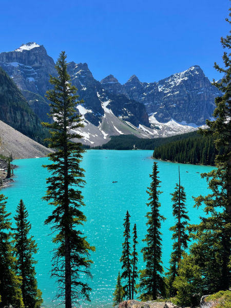 Canadian Rockies в июне 2021. Свобода!