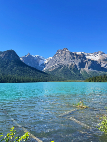 Canadian Rockies в июне 2021. Свобода!