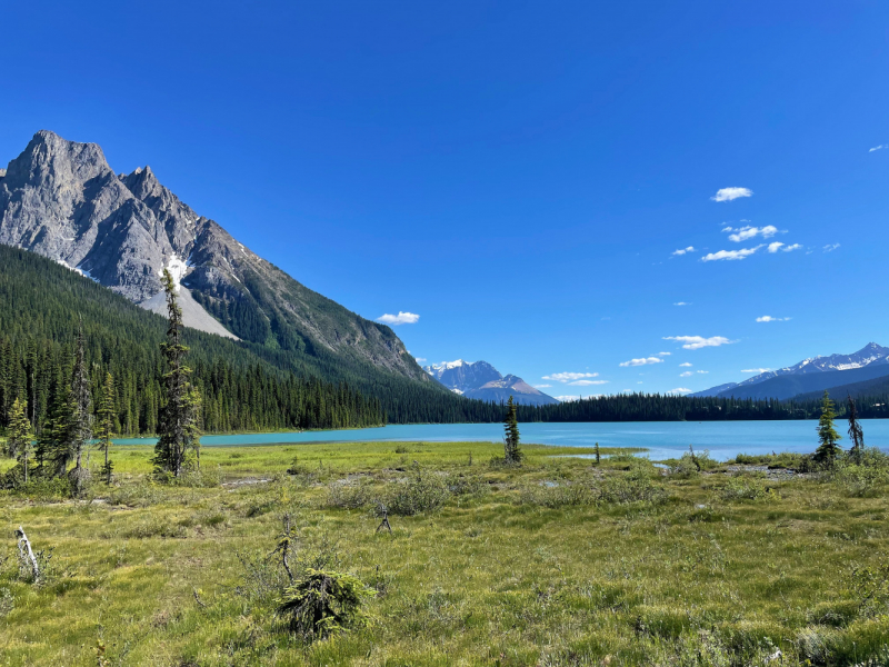 Canadian Rockies в июне 2021. Свобода!