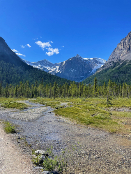 Canadian Rockies в июне 2021. Свобода!