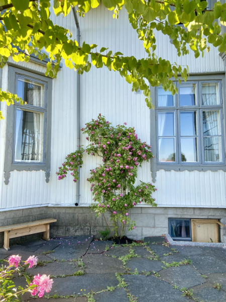 Пока мы ждем..