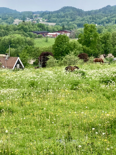 Пока мы ждем..