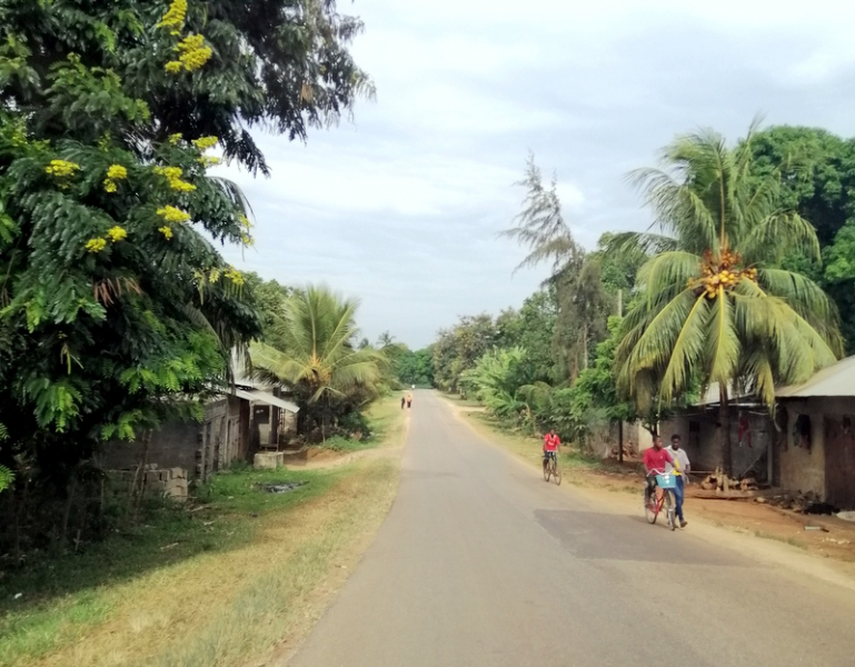Zanzibaras automobiliu. Kizimkazi-Paje-Matemwe-Chuini-Stone Town. 