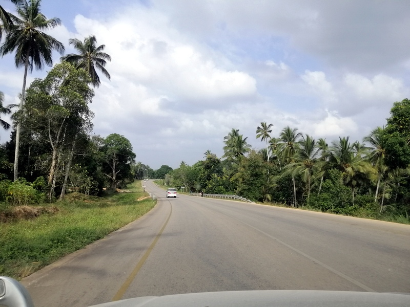 Zanzibā ra ar automaš ī nu. Kizimkazi-Paje-Matemwe-Chuini-Stone Town. 