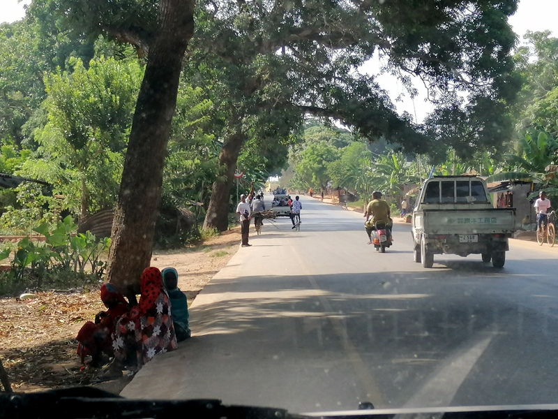 Zanzibar samochodem. Kizimkazi-Paje-Matemwe-Chuini-Stone Town. 