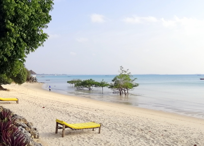 Zanzibar samochodem. Kizimkazi-Paje-Matemwe-Chuini-Stone Town. 