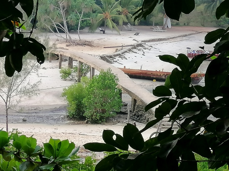 Zanzibā ra ar automaš ī nu. Kizimkazi-Paje-Matemwe-Chuini-Stone Town. 