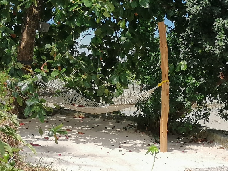 Zanzibā ra ar automaš ī nu. Kizimkazi-Paje-Matemwe-Chuini-Stone Town. 