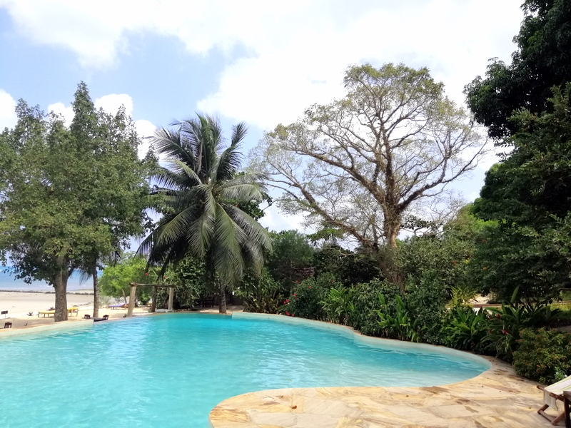 Zanzibā ra ar automaš ī nu. Kizimkazi-Paje-Matemwe-Chuini-Stone Town. 